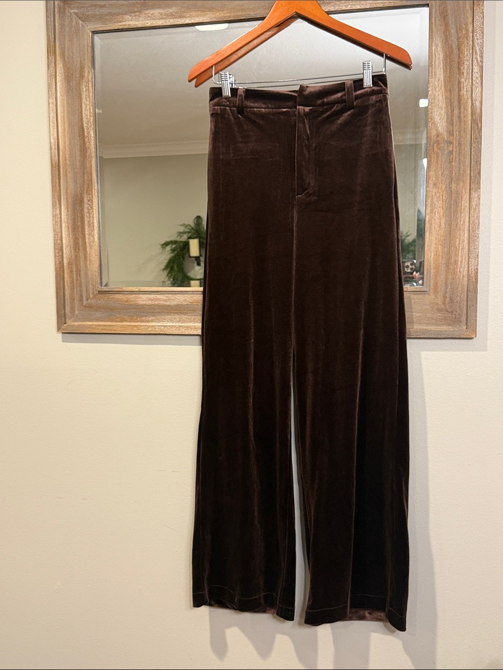 Forever 21 Chocolate Brown Velvet Wide-Leg Pants